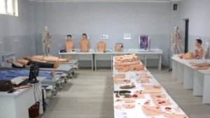 oshimu-anatomy-r5qyf5bfr6cj41bngky583hds5j0omiip34w47nzg0